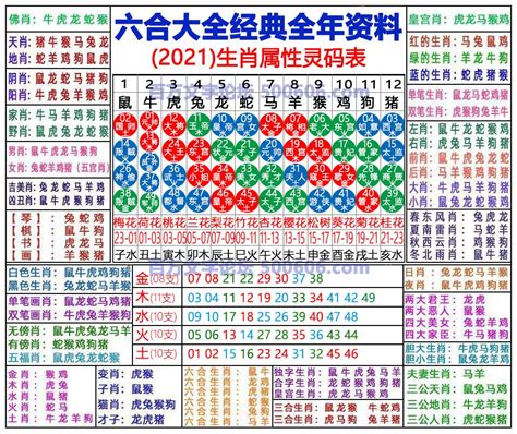 2024 年生肖|2024完整生肖表图 正宗版2024生肖卡表